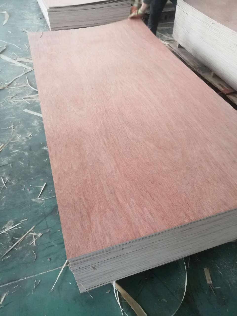 Eucalyptus core veneer
